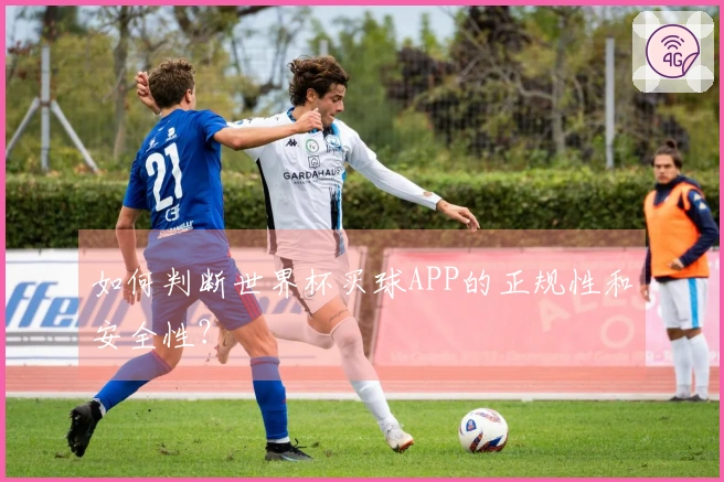 如何判断世界杯买球APP的正规性和安全性？