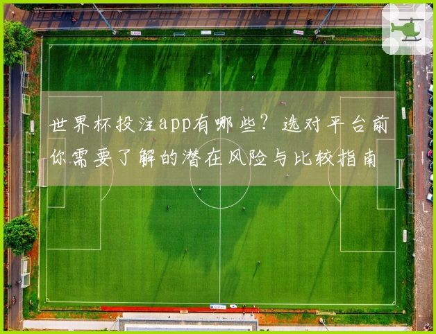 世界杯投注app有哪些？选对平台前你需要了解的潜在风险与比较指南