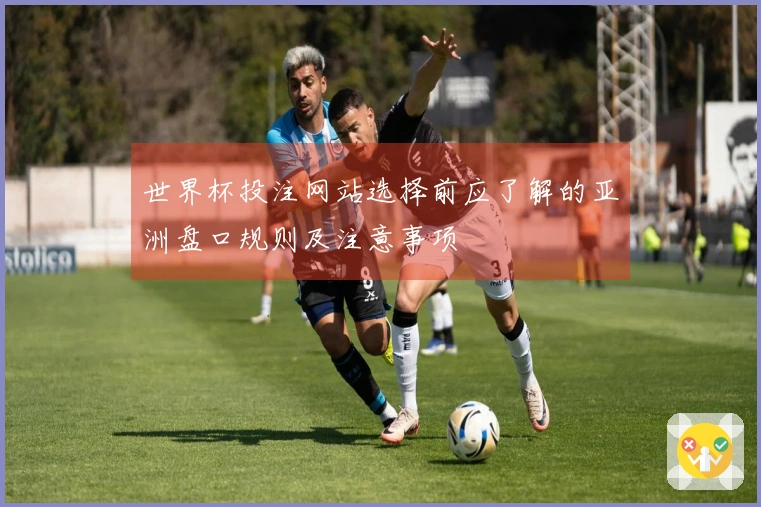 世界杯投注网站选择前应了解的亚洲盘口规则及注意事项