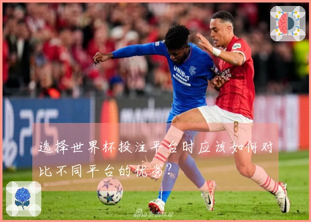 选择世界杯投注平台时应该如何对比不同平台的优劣？