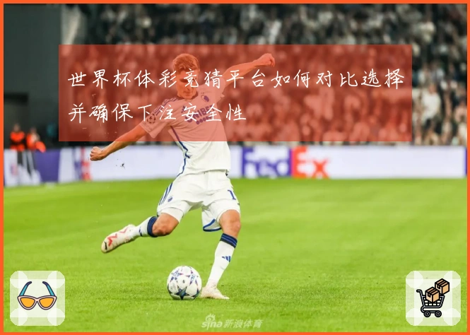 世界杯体彩竞猜平台如何对比选择并确保下注安全性