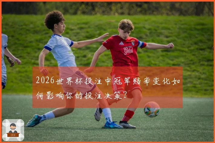 2026世界杯投注中冠军赔率变化如何影响你的投注决策？