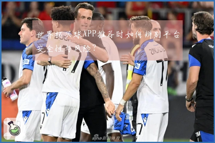 世界杯买球APP推荐时如何辨别平台安全性与风险？