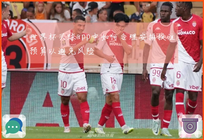 世界杯买球app中如何合理安排投注预算以避免风险