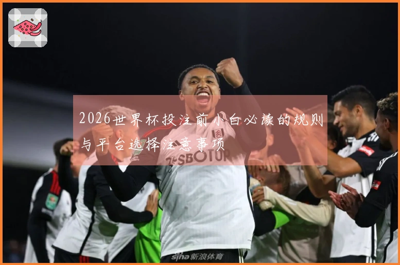 2026世界杯投注前小白必读的规则与平台选择注意事项