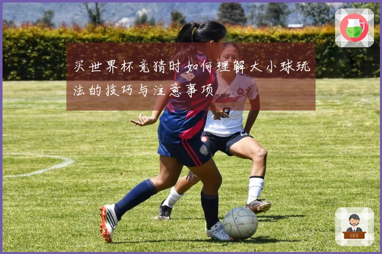 买世界杯竞猜时如何理解大小球玩法的技巧与注意事项