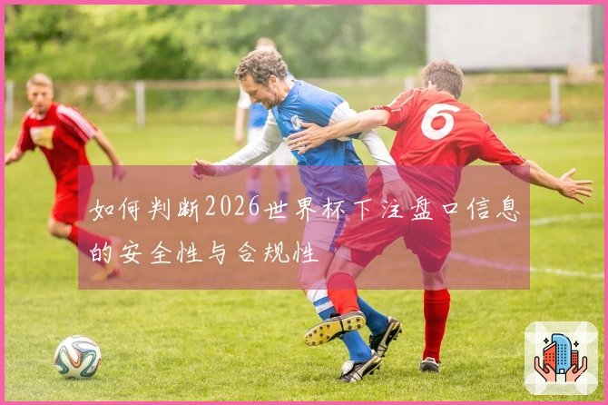 如何判断2026世界杯下注盘口信息的安全性与合规性
