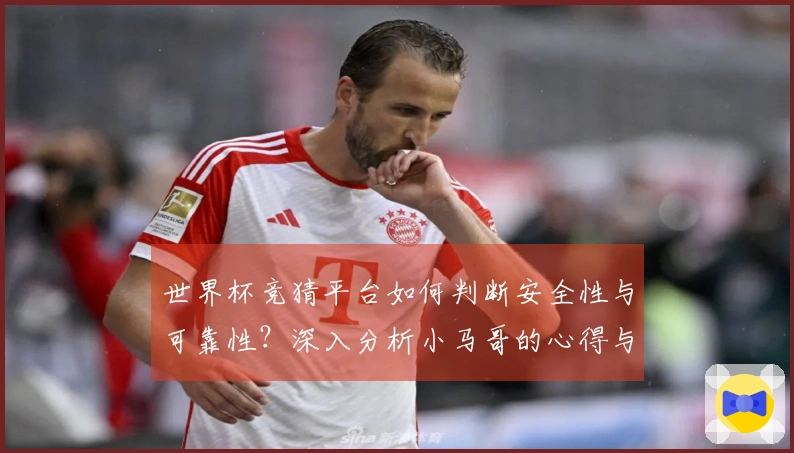 世界杯竞猜平台如何判断安全性与可靠性？深入分析小马哥的心得与经验