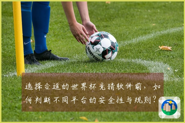 选择合适的世界杯竞猜软件前，如何判断不同平台的安全性与规则？