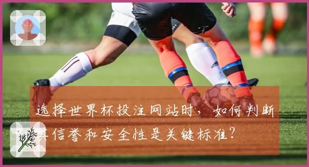 选择世界杯投注网站时，如何判断其信誉和安全性是关键标准？