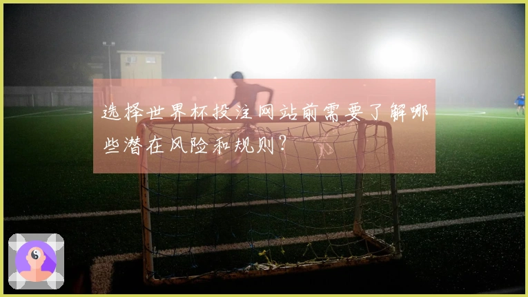 选择世界杯投注网站前需要了解哪些潜在风险和规则？