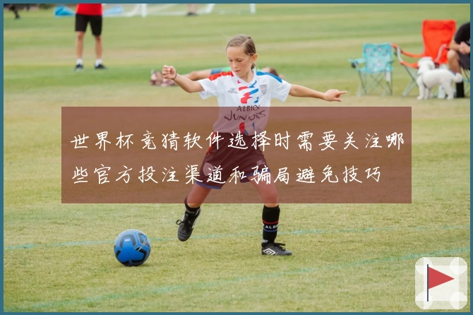世界杯竞猜软件选择时需要关注哪些官方投注渠道和骗局避免技巧