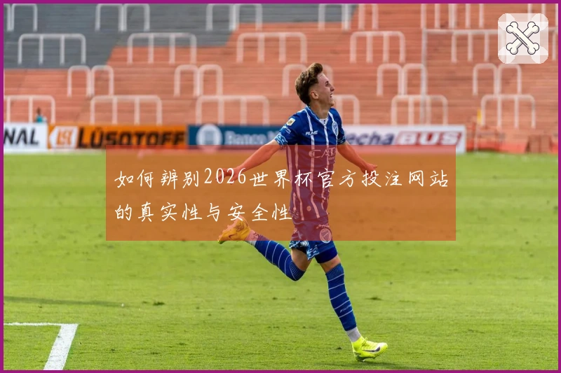 如何辨别2026世界杯官方投注网站的真实性与安全性