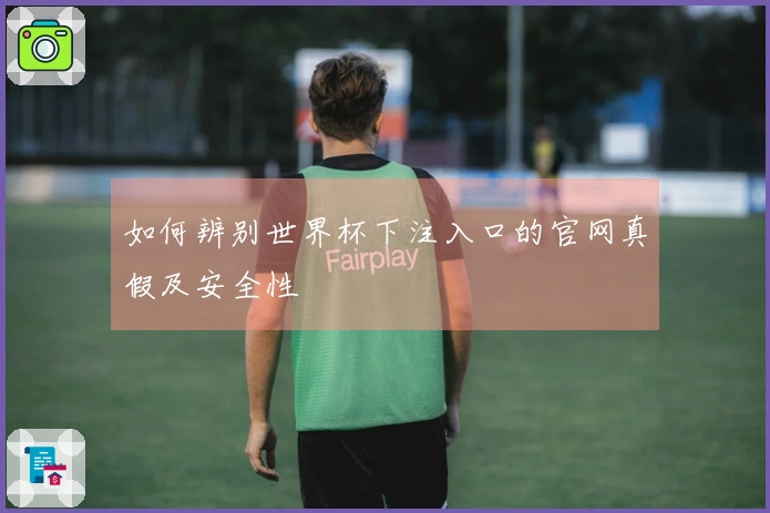 如何辨别世界杯下注入口的官网真假及安全性