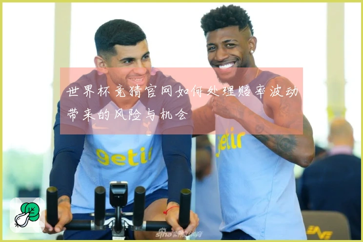 世界杯竞猜官网如何处理赔率波动带来的风险与机会