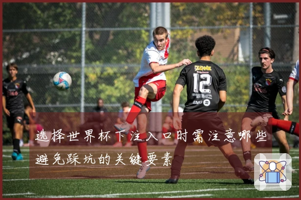 选择世界杯下注入口时需注意哪些避免踩坑的关键要素