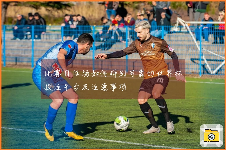 比赛日临场如何辨别可靠的世界杯投注平台及注意事项