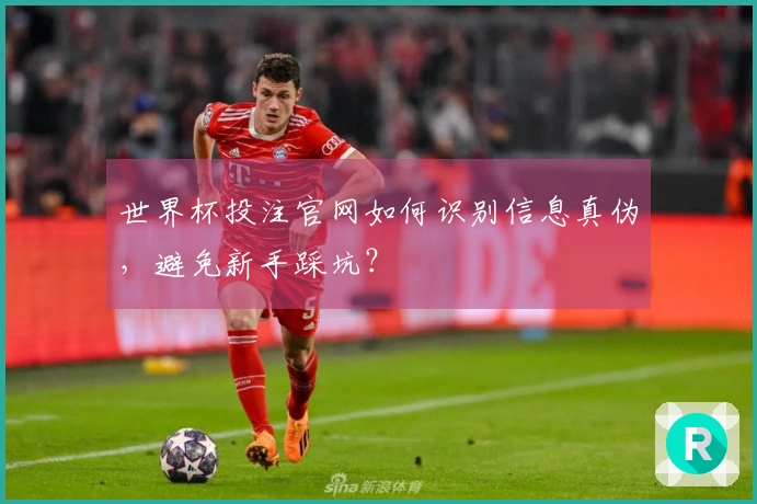世界杯投注官网如何识别信息真伪，避免新手踩坑？