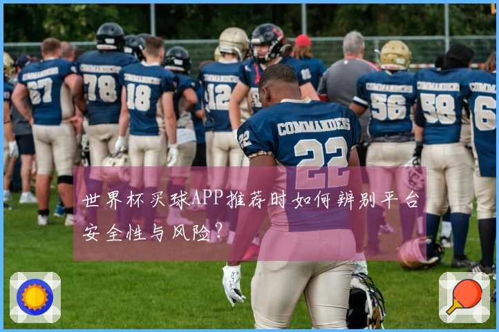 世界杯买球APP推荐时如何辨别平台安全性与风险？