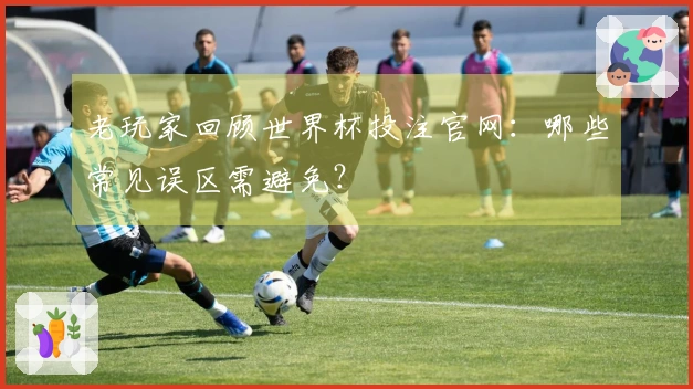老玩家回顾世界杯投注官网：哪些常见误区需避免？