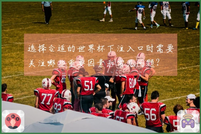 选择合适的世界杯下注入口时需要关注哪些重要因素和常见问题？