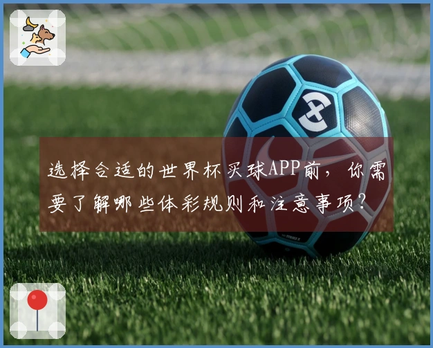 选择合适的世界杯买球APP前，你需要了解哪些体彩规则和注意事项？