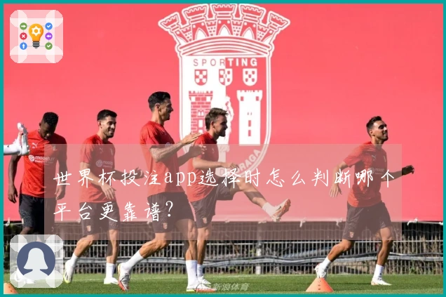 世界杯投注app选择时怎么判断哪个平台更靠谱？