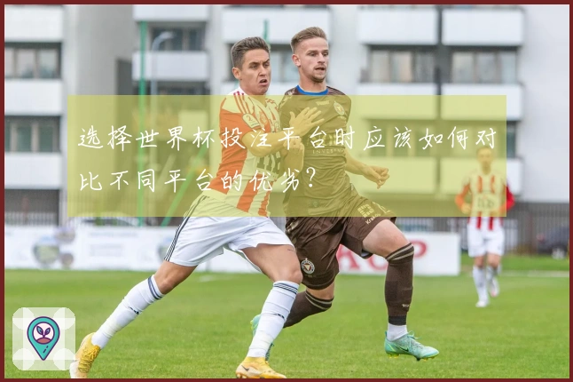 选择世界杯投注平台时应该如何对比不同平台的优劣？
