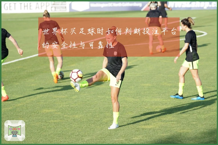 世界杯买足球时如何判断投注平台的安全性与可靠性