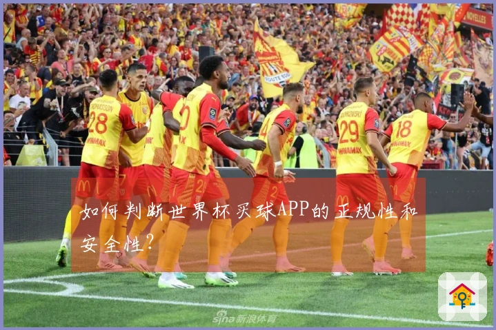如何判断世界杯买球APP的正规性和安全性？