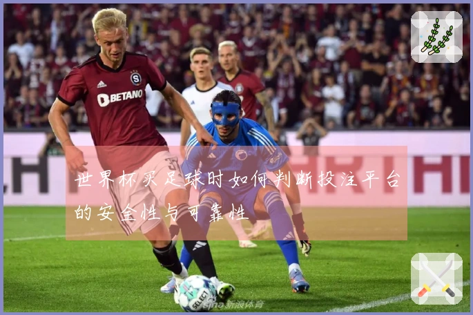 世界杯买足球时如何判断投注平台的安全性与可靠性