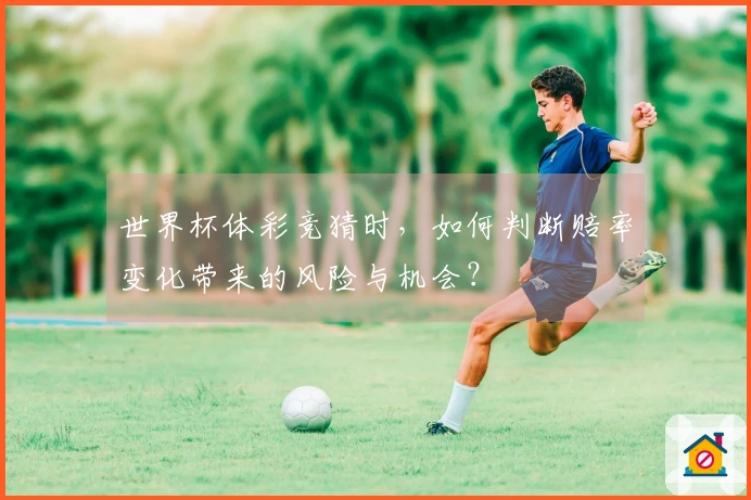 世界杯体彩竞猜时，如何判断赔率变化带来的风险与机会？