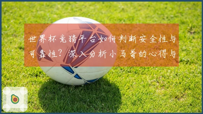 世界杯竞猜平台如何判断安全性与可靠性？深入分析小马哥的心得与经验