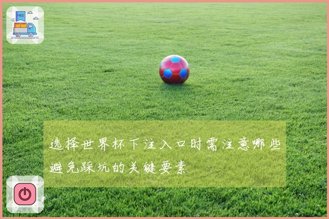 选择世界杯下注入口时需注意哪些避免踩坑的关键要素