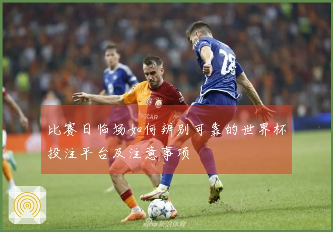 比赛日临场如何辨别可靠的世界杯投注平台及注意事项