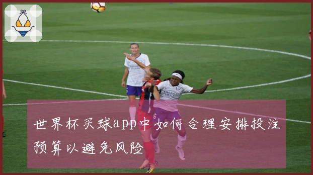 世界杯买球app中如何合理安排投注预算以避免风险
