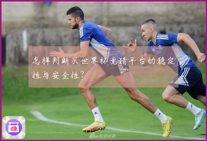怎样判断买世界杯竞猜平台的稳定性与安全性？