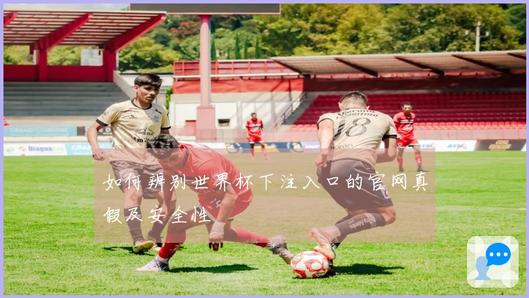 如何辨别世界杯下注入口的官网真假及安全性