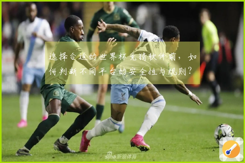 选择合适的世界杯竞猜软件前，如何判断不同平台的安全性与规则？
